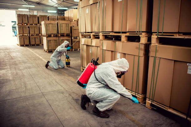 Best Flea Control Services  in Lyndhurst, VA