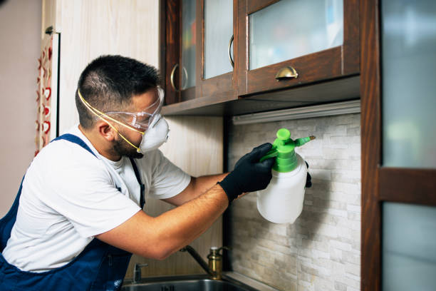  Lyndhurst, VA Pest Control Pros