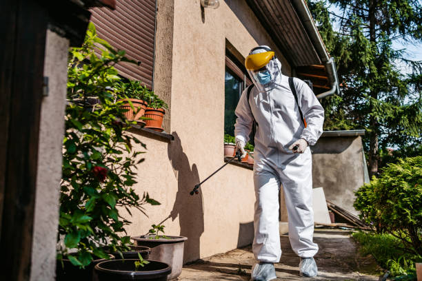 Best Bed Bug Extermination  in Lyndhurst, VA