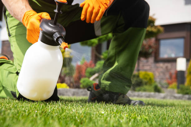 Best Wildlife Control Services  in Lyndhurst, VA