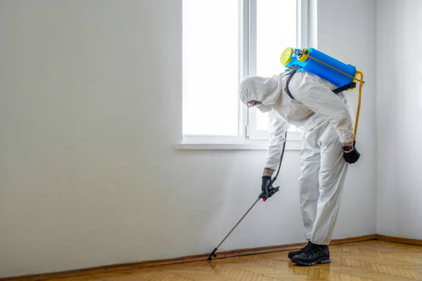 Pest Prevention Services in Lyndhurst, VA