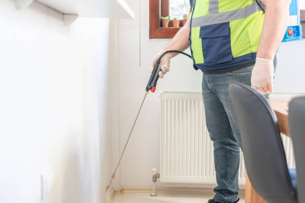 Best Wasp Removal Services  in Lyndhurst, VA