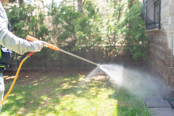 Best Mosquito Control Services  in Lyndhurst, VA
