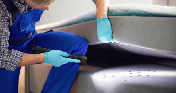 Best Pest Control Near Me  in Lyndhurst, VA