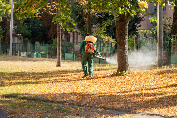 Reliable Lyndhurst, VA Pest Control Solutions