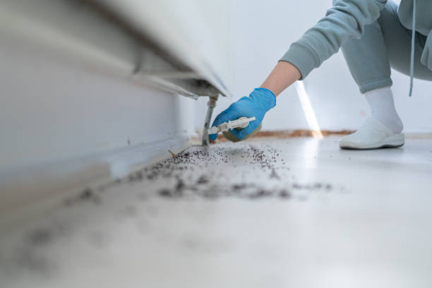 Best Best Pest Control Companies  in Lyndhurst, VA