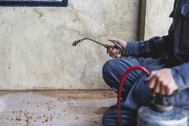 Best Affordable Pest Control Services  in Lyndhurst, VA